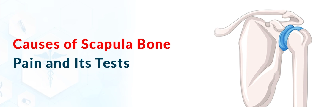  Causes of Scapula Bone Pain and Its Tests